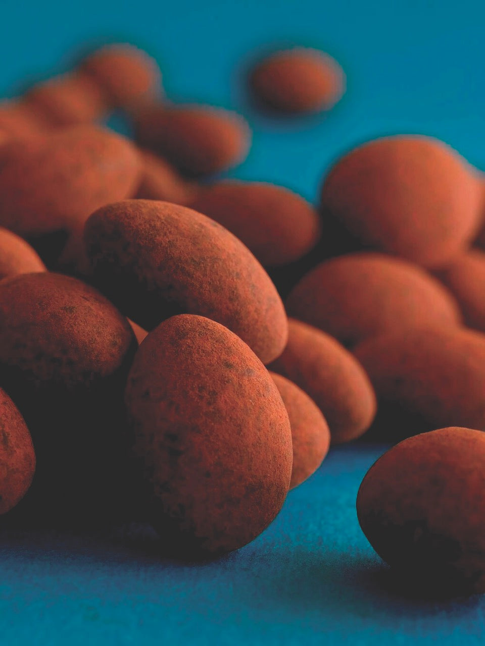 Why Fresh Chocolate Tastes Better (And Why Most Chocolate Isn’t)
