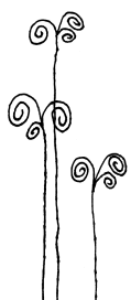 Display Image